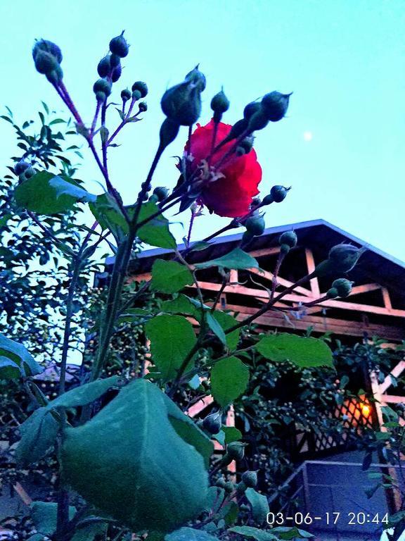 Guest House Albatros Cholpon-Ata Exterior photo